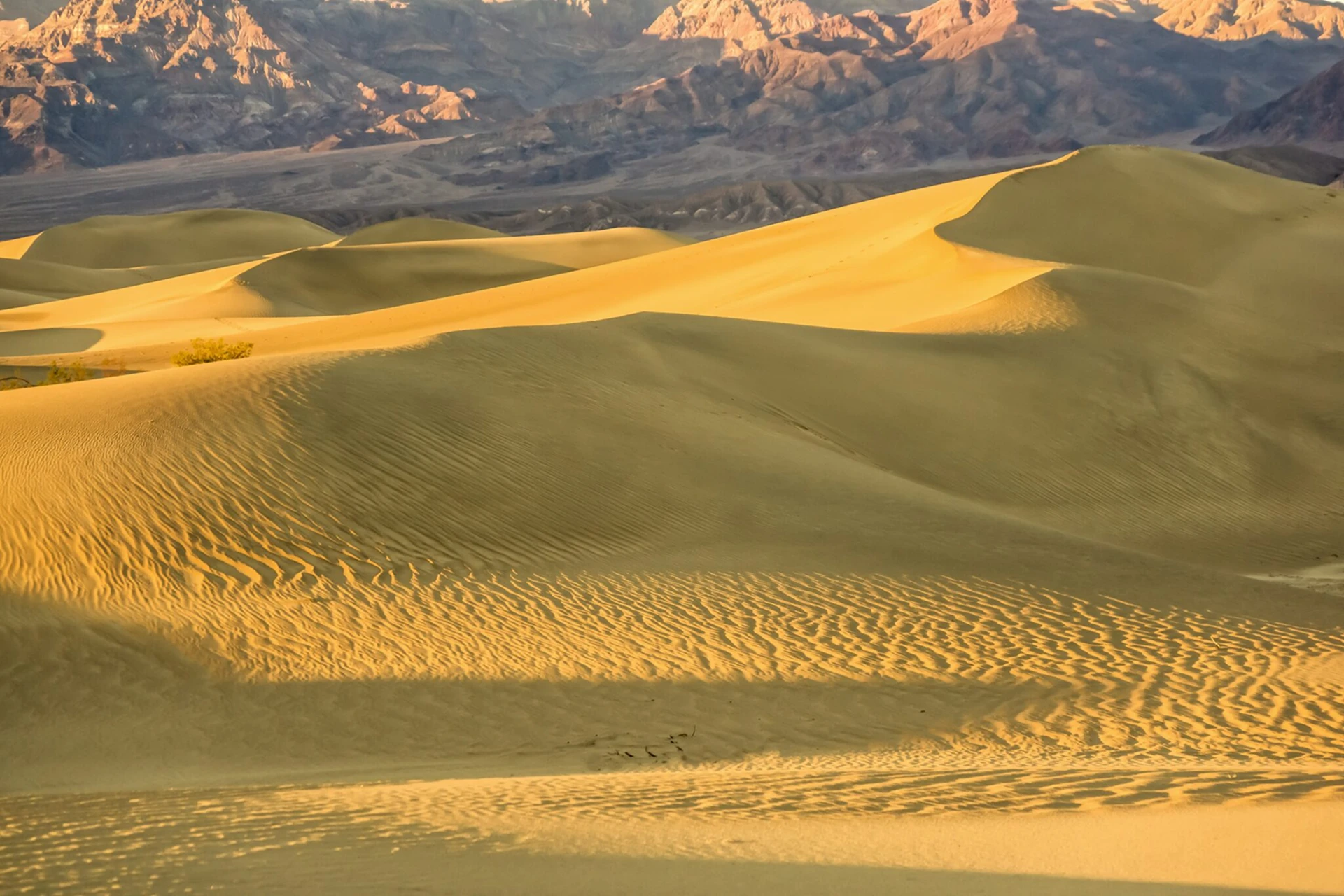 Desertscapes