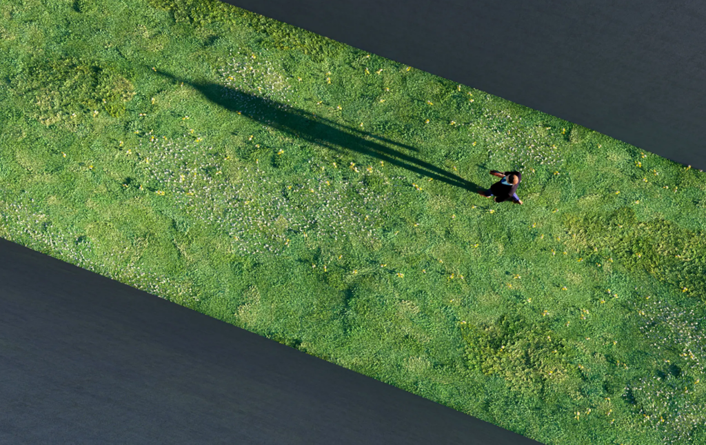 Long shadow on green field