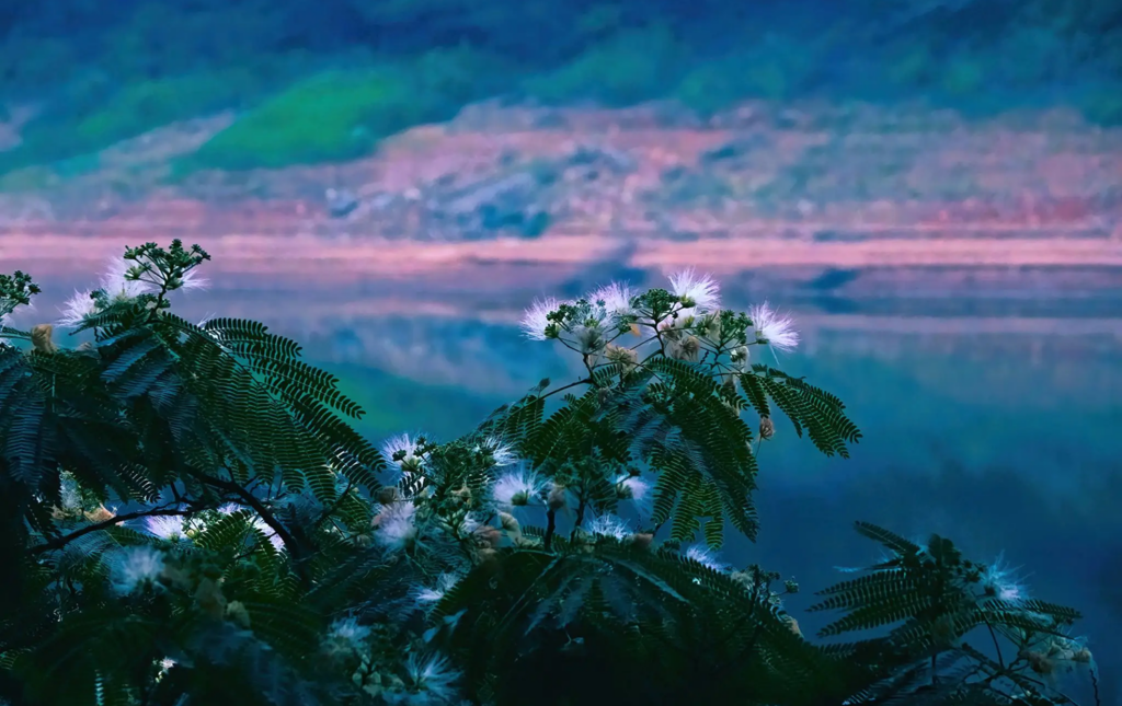 Blossoms by a serene blue lake